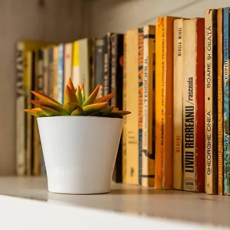 Cozy House With Nice Garden In Heart Of City Center Villa Cluj-Napoca