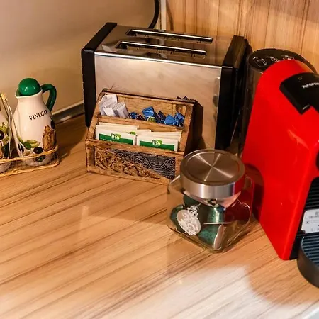 Cozy House With Nice Garden In Heart Of City Center Cluj-Napoca