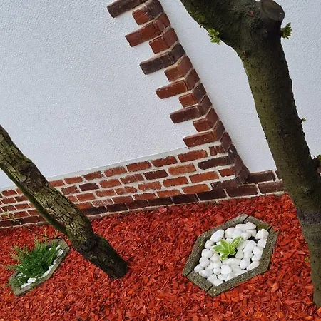 Cozy House With Nice Garden In Heart Of City Center *