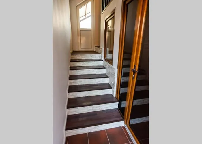 Cozy House With Nice Garden In Heart Of City Center Cluj-Napoca