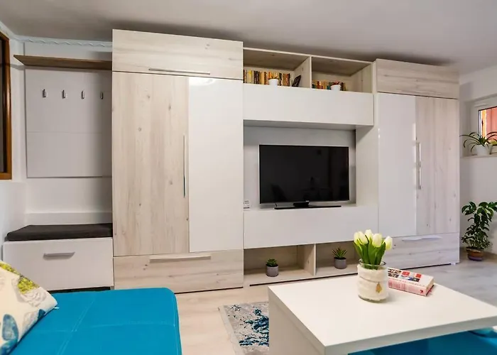 Cozy House With Nice Garden In Heart Of City Center * Cluj-Napoca