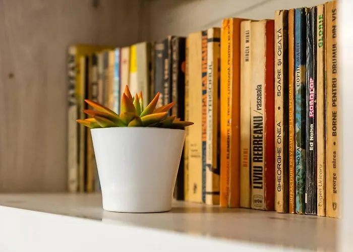 Cozy House With Nice Garden In Heart Of City Center Villa Cluj-Napoca