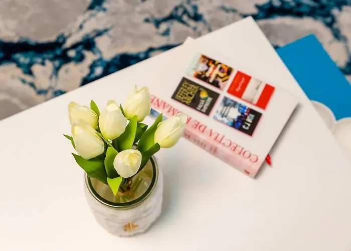 Cozy House With Nice Garden In Heart Of City Center * Cluj-Napoca