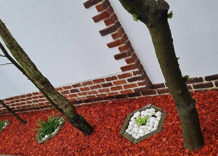 Cozy House With Nice Garden In Heart Of City Center *